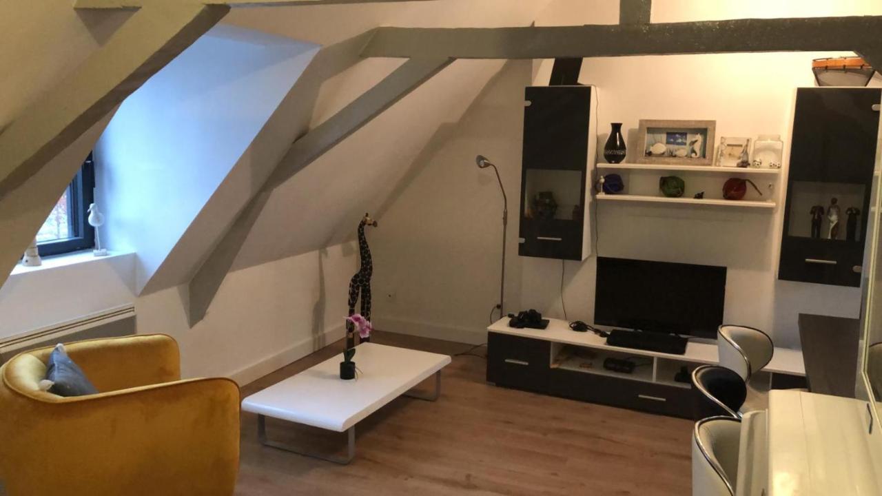 Logement Avec Deux Appartements Sur Deux Etages Wormhout Exteriér fotografie